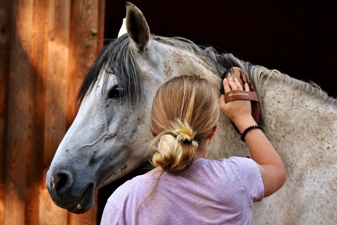 horse love, horse, clean-2818959.jpg